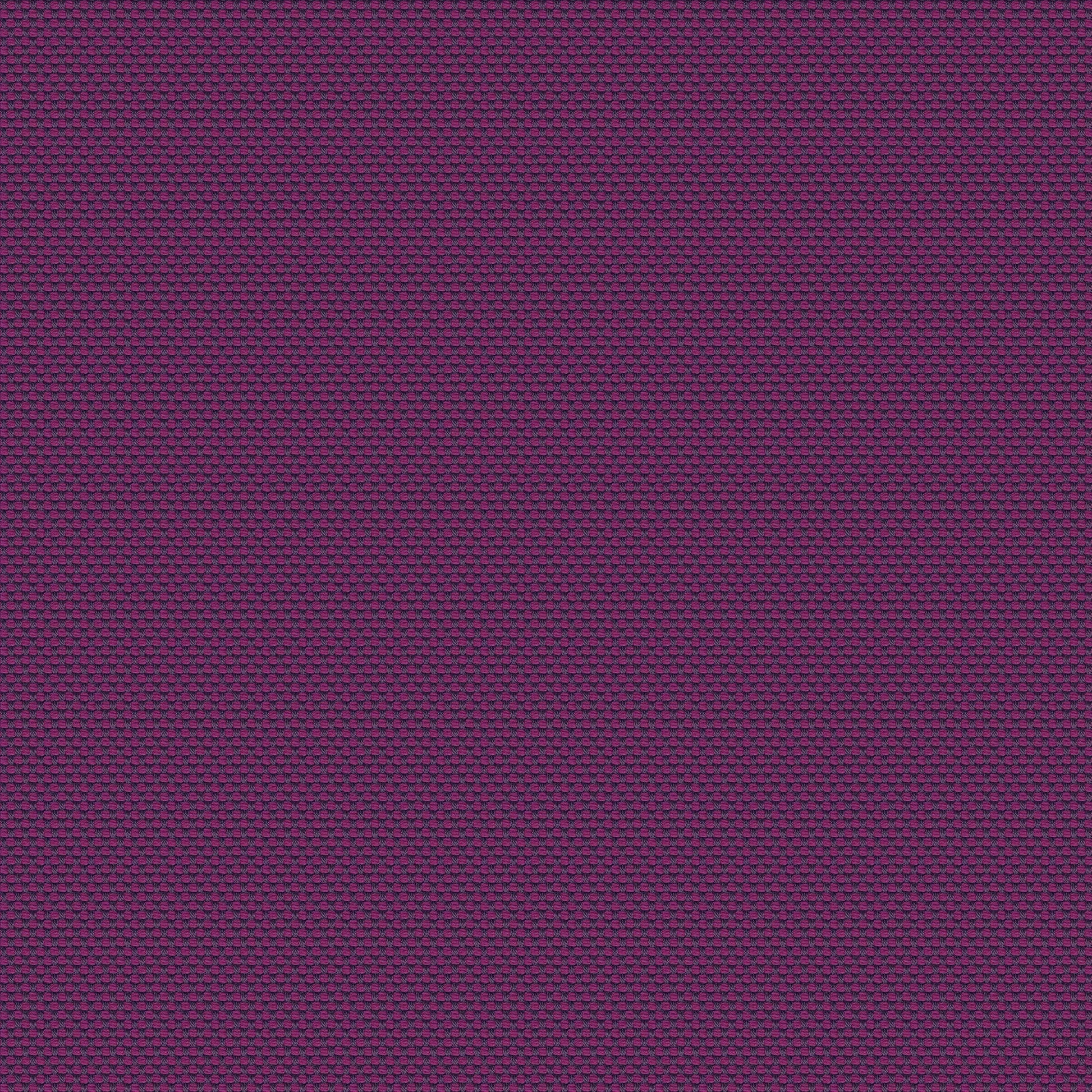 Fabric sample Novum Viola Zoom